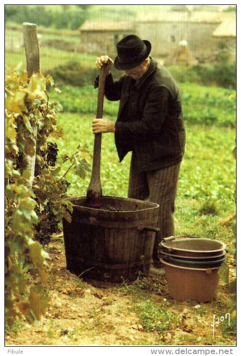 Gestes Et Paysages La Vigne - Paesani