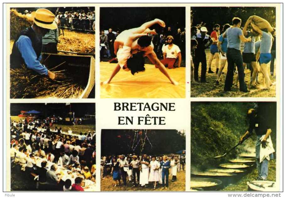 BRETAGNE EN FETE Lutte Bretonne Jeux Bretons - Bretagne