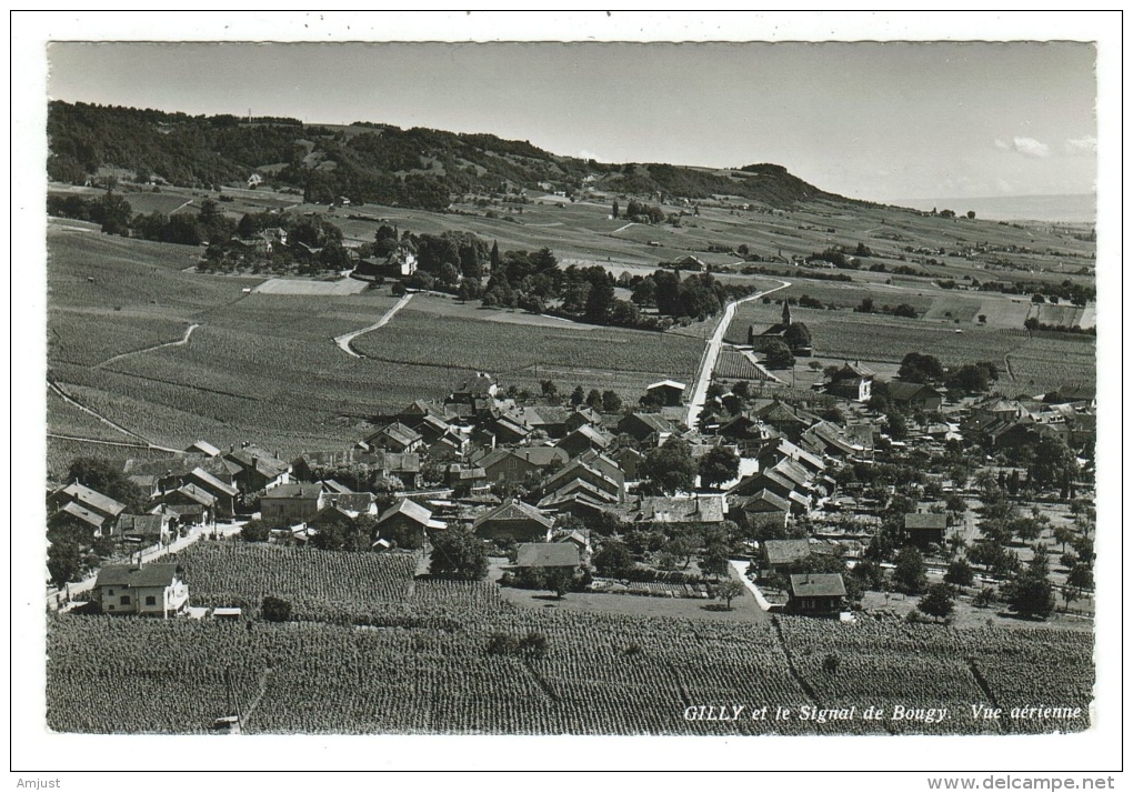 Suisse /Schweiz/Svizzera/Switzerland/ Vaud / Gilly Et Le Signal De Bougy - Gilly