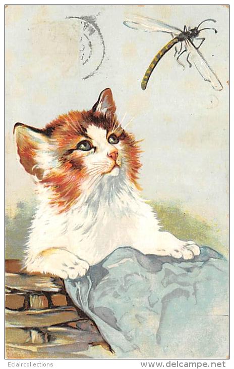 Fantaisie      Chat Et Libellulle - Cats