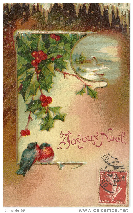 Joyeux Noel Oiseaux Houx Paysage En Medaillon - Altri & Non Classificati