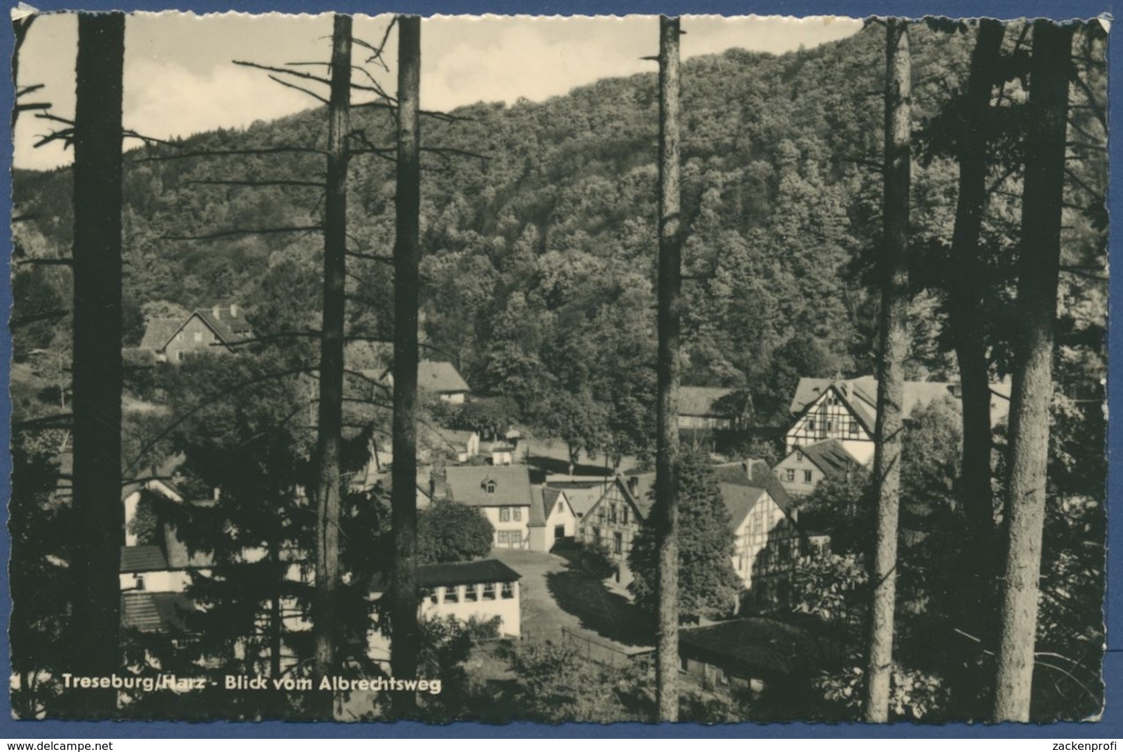 Treseburg Im Harz (Thale) Blick Vom Albrechtsweg, Gelaufen 1959 (AK678) - Thale