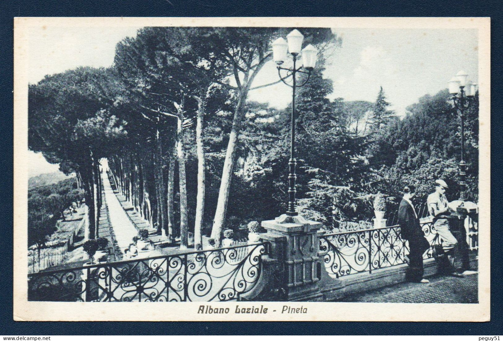 Italie. Albano Laziale.( Roma).  Pineta. Forêt De Pins. - Andere & Zonder Classificatie