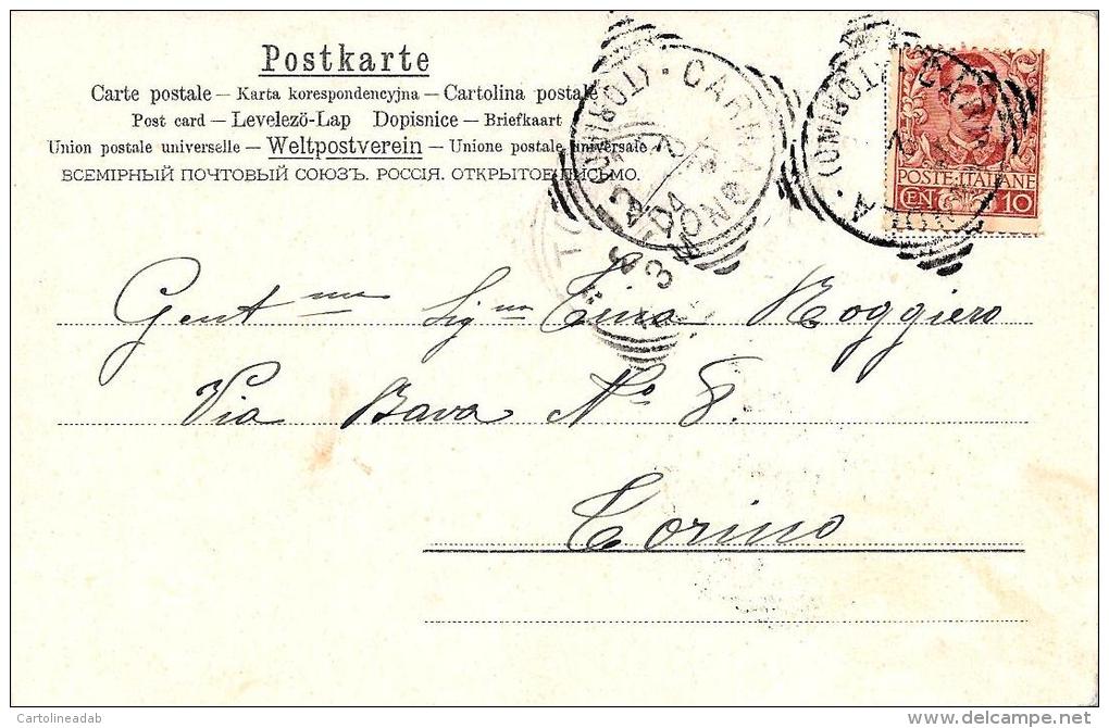 [DC4983] CARTOLINA - FIORI - MARGHERITE - UVA BIANCA E ROSSA - CENTRINO - Viaggiata 1904 - Old Postcard - Fiori