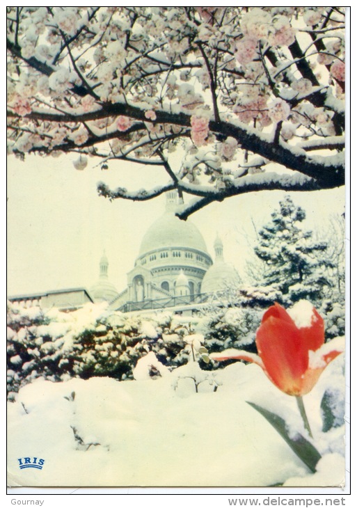 Paris : Neige D'Avril Devant Le Sacré Coeur De Montmartre, Cerisier En Fleurs (n°655 éd Chantal) - Sacré Coeur