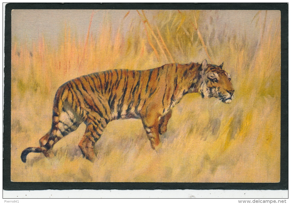 TIGRES - Jolie Carte Fantaisie Tigre Dans La Savane - Tigres