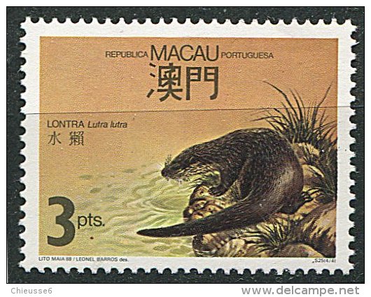 (cl. 5 - P.49) Macao ** N° 563 (ref. Michel Au Dos)  - La Loutre - - Unused Stamps