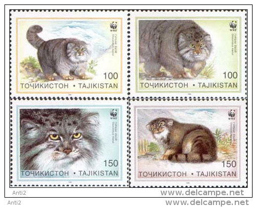 Tajikistan Tadjikistan 1996 Wild Cats, Mi 94-97, MNH(**) - Tadschikistan