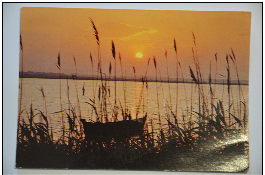 CPM Languedoc (Languedoc-Roussillon) - Coucher De Soleil Sur Les étangs - Languedoc-Roussillon