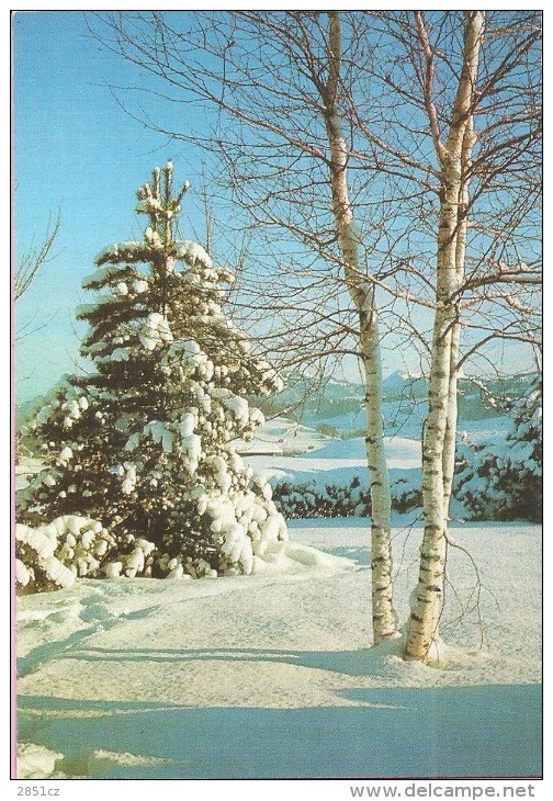 Happy New Year - Nature Covered With Snow,  Yugoslavia (Jugoreklam, Serija 69) - Not Used ! - Anno Nuovo