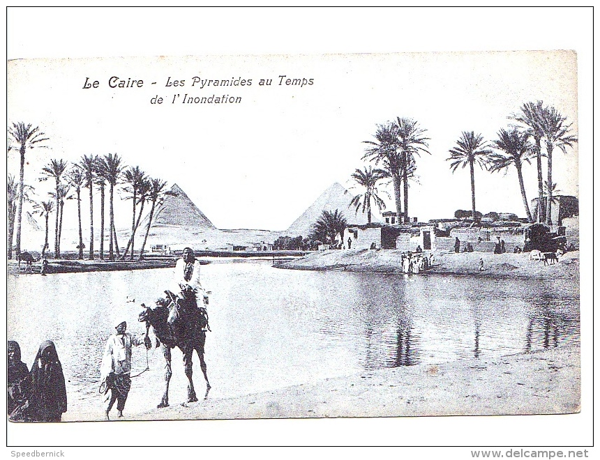 24763 EGYPTE Egypt - Le Caire Cairo - Pyramides Au Temps Inondation --ed Lichtenstern Harari N° 2 - Pyramiden