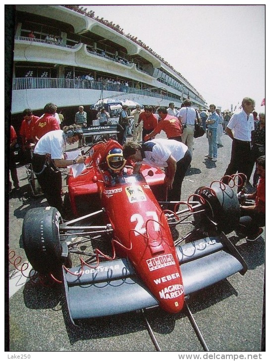 FERRARI  F1 Pilota M.ALBORETO - Grand Prix / F1