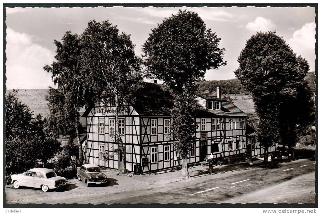 0883 - Alte Foto Ansichtskarte - Amelith - Gasthaus Gaststätte Zum Sollinger Wald - Auto N. Gel. TOP - Northeim