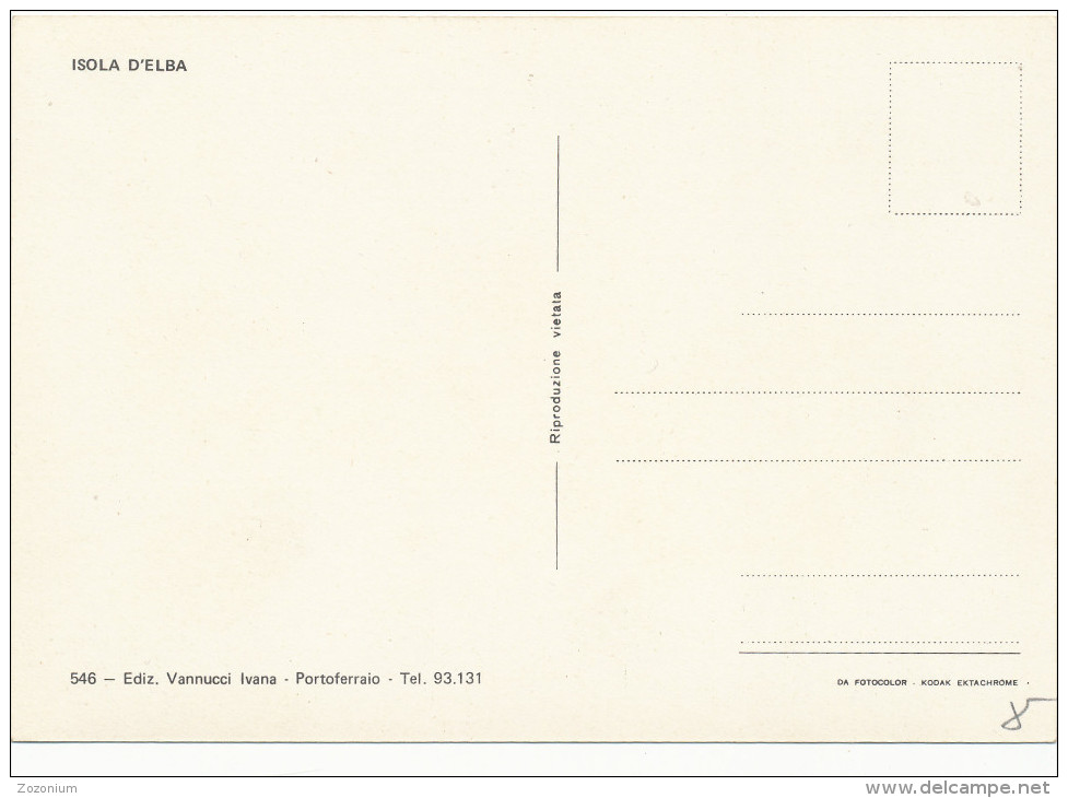 ITALY ELBA LIVORNO MAP CARD Vintage Old Photo Postcard Card - Autres & Non Classés