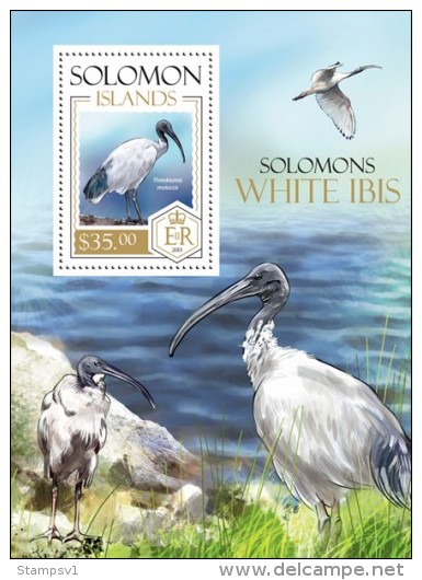 Solomon Islands. 2013 Birds. (816b) - Storks & Long-legged Wading Birds