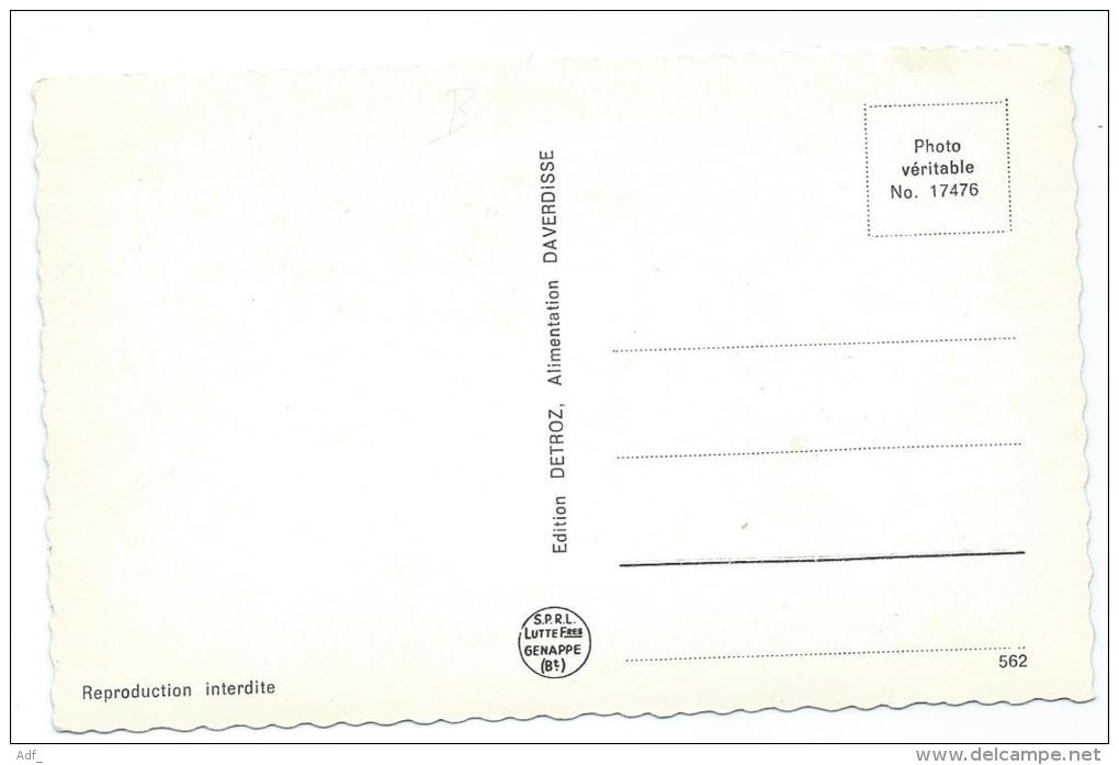 CPSM DAVERDISSE, LA LESSE SAUVAGE, Format 9 Cm Sur 14 Cm Environ, PROVINCE DE LUXEMBOURG, BELGIQUE - Daverdisse