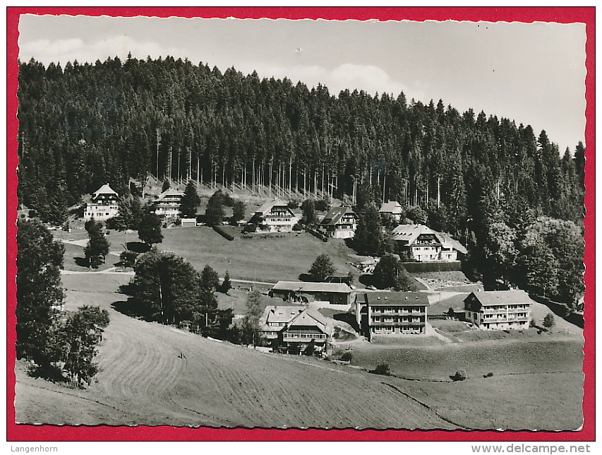 6 AK HINTERZARTEN (Schwarzwald) ~ Ab 1959 - Hinterzarten