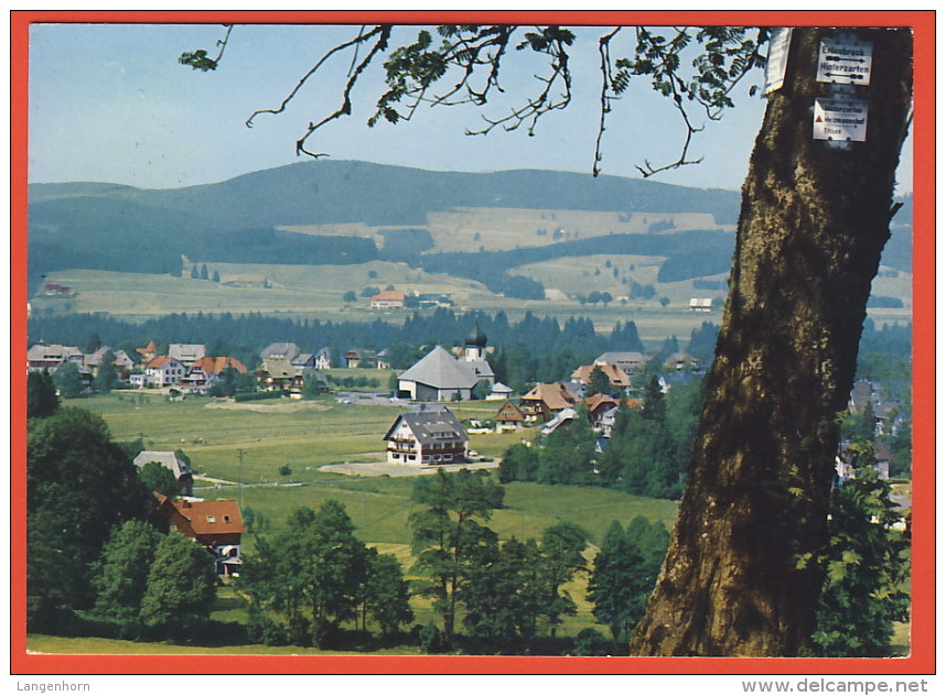 6 AK HINTERZARTEN (Schwarzwald) ~ Ab 1959 - Hinterzarten