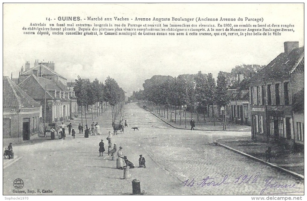 NORD PAS DE CALAIS - 62 - PAS DE CALAIS - GUINES - Marché Aux Vaches - Avenue Boulanger - Guines