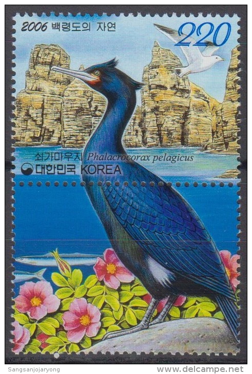 South Korea KPCC1923 Nature, Wildlife Of Baengnyeongdo, Bird, Protection De L'environnement, Oiseaux D'eau - Marine Web-footed Birds