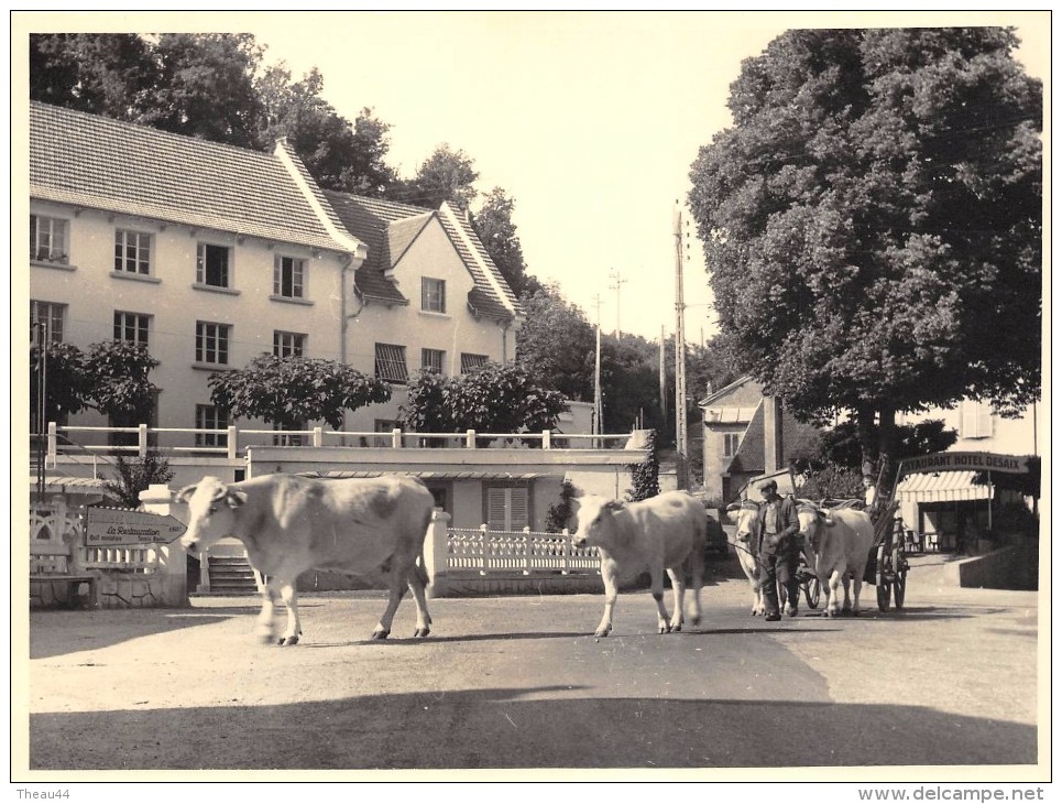 Cliché Artistique - CHATEAUNEUF-les-BAINS - Hameau Du Bordas - Attelage De Boeufs - Hôtel DESAIS  - Voir Description - Autres & Non Classés