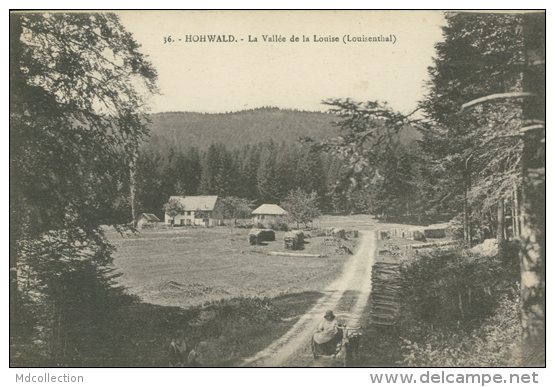67 HOHWALD / La Vallée De La Louise / - Hochfelden