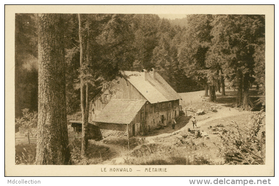 67 HOHWALD / Métairie / - Hochfelden