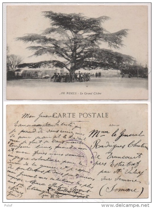 NIMES - Le Grand Cèdre - Cachet Militaire   (81606) - Nîmes