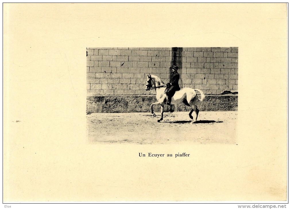 CHEVAL  UN ECUYER AU PIAFFER SAUT D OBSTACLE  -  PLANCHE RECTO VERSO - Autres & Non Classés