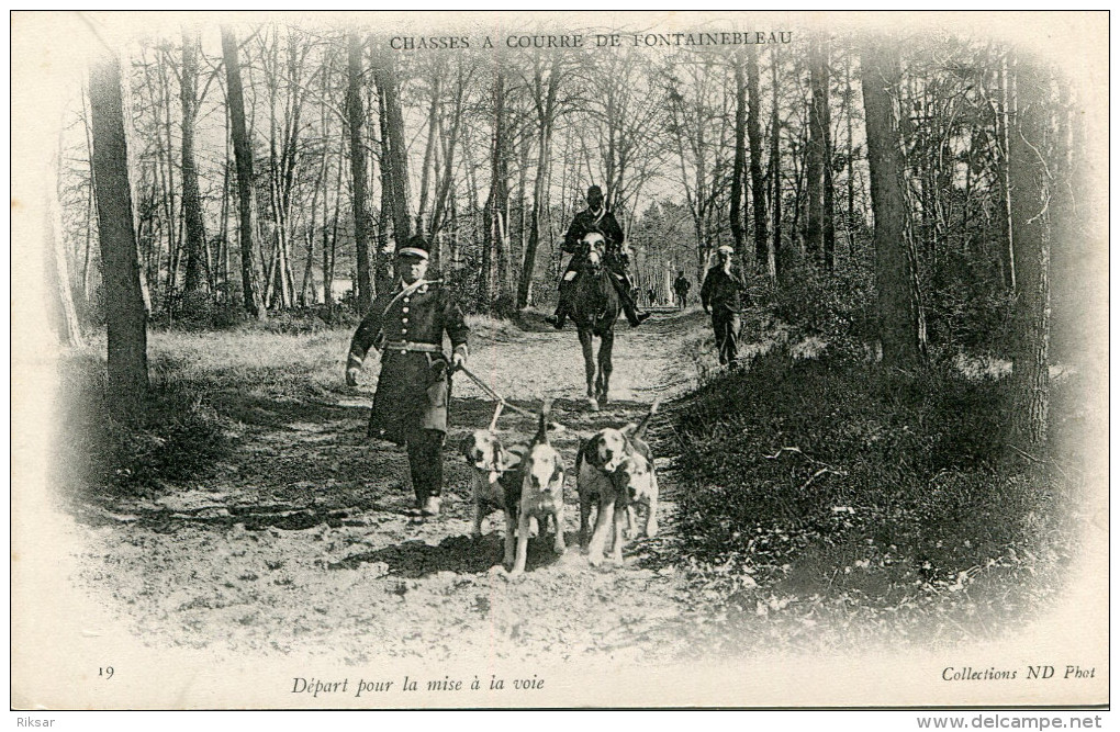 CHASSE A COURRE(VENERIE) FONTAINEBLEAU - Chasse