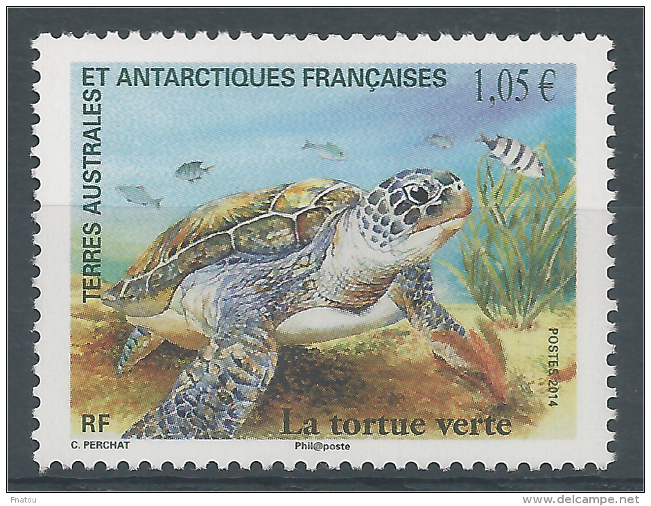 French Antarctic (FSAT), Green Sea Turtle, 2014, MNH VF - Ongebruikt