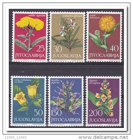 Joegoslavië 1965, Postfris MNH, Flowers - Nuovi