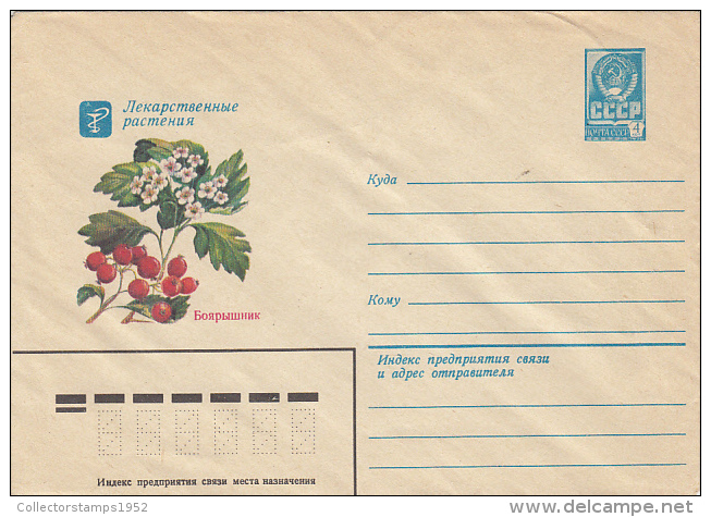 29338- MEDICINAL PLANTS, HAWTHORN, FLOWERS, BERRIES, COVER STATIONERY, 1980, RUSSIA - Plantas Medicinales