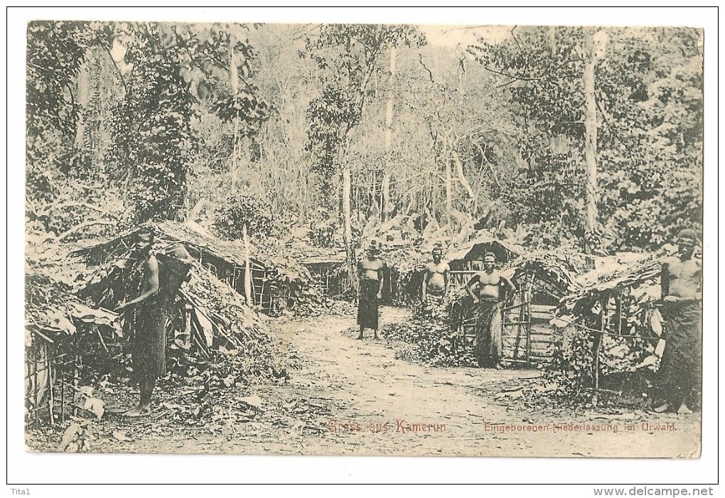 S3485 - Gruss Aus Kamerun - Eingeborenen-Niederlassung Im Urwald - Cameroun