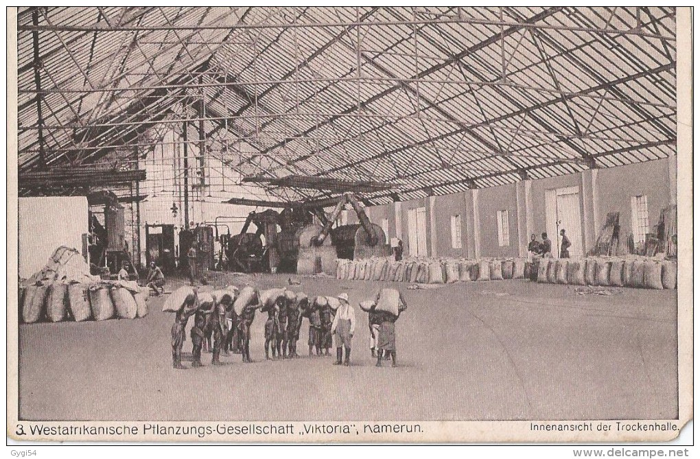 KAMEROUN, WESTATRIKANISCHE PTLANZUNGS-GESELLSCHATT...VIKTORIA    AK 1919 - Komoren