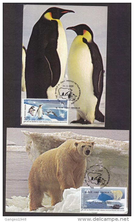 India  2009  Polar Bear  Penguins  Preserve The Polar Regeons &amp; Glaciers  2  Maximum Cards # 67463  Inde Indien - Préservation Des Régions Polaires & Glaciers