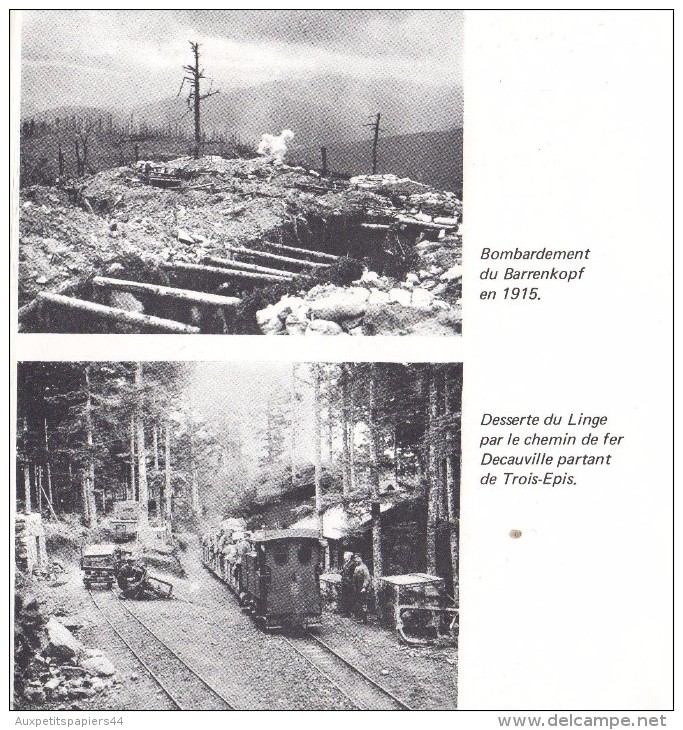 Livre Hommage Retraçant Les Batailles Du Macif Du Linge Ou "Gazon De Leinge" En 1915 - TEXTES ET PHOTOS + PLANS - Guerre 1914-18
