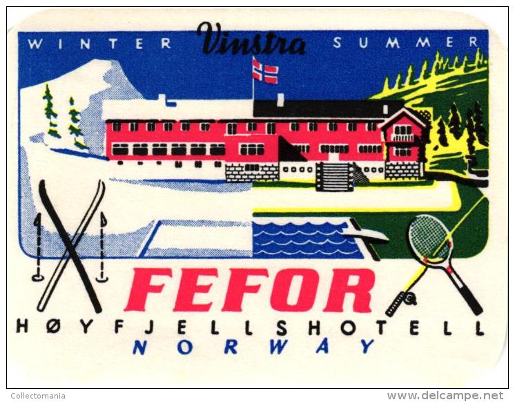 8 HOTEL LABELS NORWAY NORGE NORVEGE MYRDAL STALHEIM FEFOR LOEN MORCEDAL OSLO Nice Collection - Hotelaufkleber