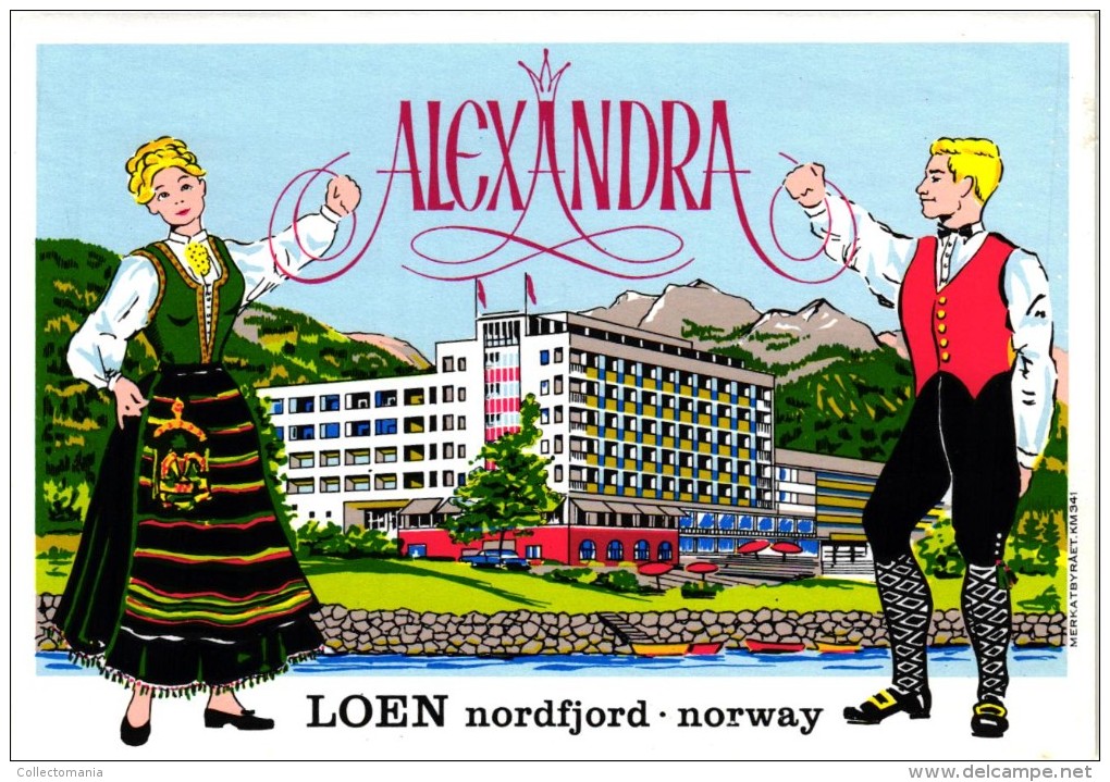 8 HOTEL LABELS NORWAY NORGE NORVEGE MYRDAL STALHEIM FEFOR LOEN MORCEDAL OSLO Nice Collection - Hotel Labels