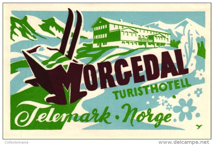 8 HOTEL LABELS NORWAY NORGE NORVEGE MYRDAL STALHEIM FEFOR LOEN MORCEDAL OSLO Nice Collection - Hotel Labels