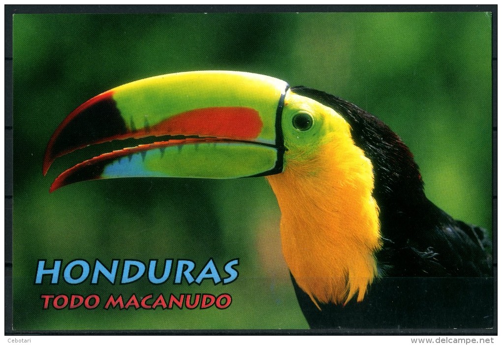 HONDURAS - Todo Macanudo - "Tucan" - Cartolina Non Viaggiata Come Da Scansione - Honduras