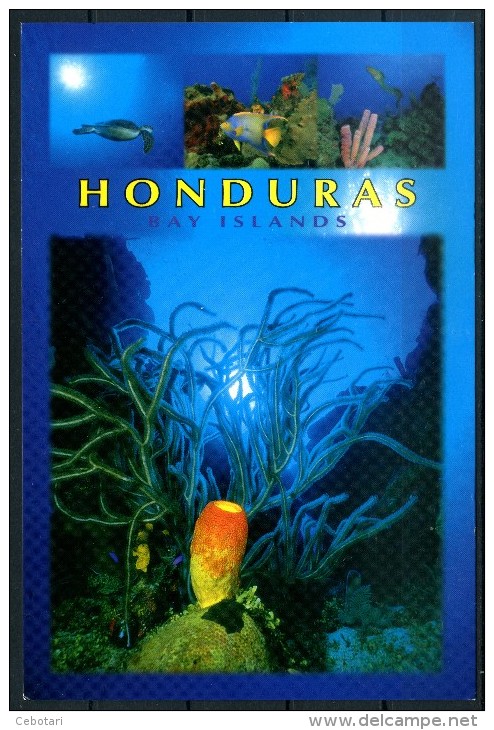 HONDURAS - Bay Islands - "Mondo Sottomarino" - Cartolina Non Viaggiata Come Da Scansione - Honduras