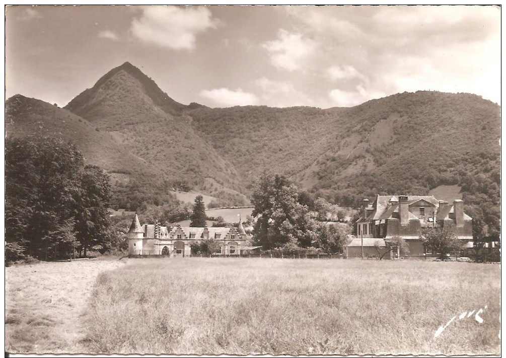 ARTHEZ-D'ASSON (64) Le Château D'Angosse Et La Pène De La Hèche  CPSM  GF - Autres & Non Classés