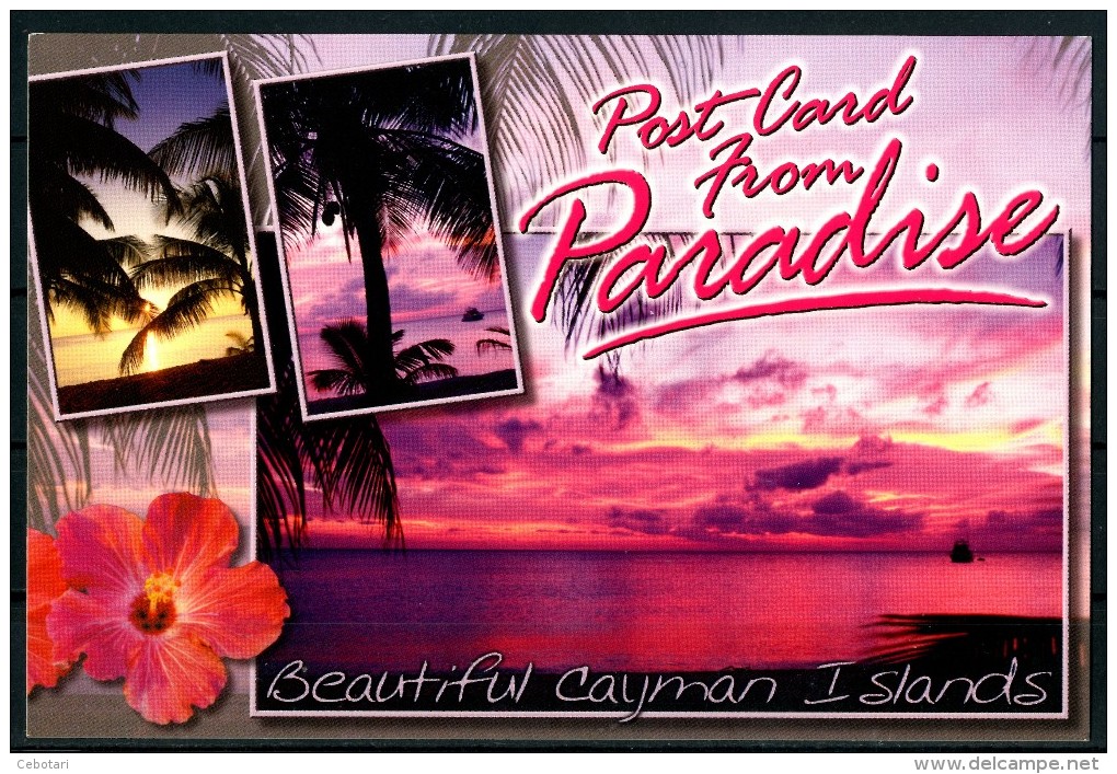 CAYMAN ISLANDS - "Post Card From Paradise" - Cartolina Non Viaggiata Come Da Scansione - Caimán (Islas)