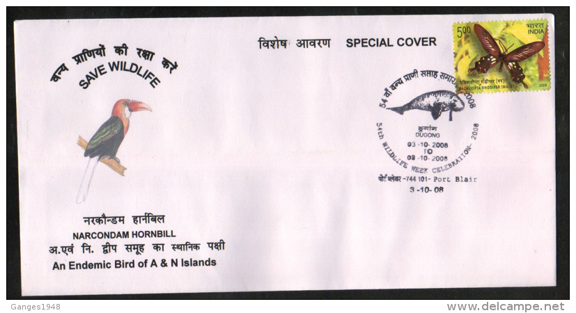 India  2008  Narcondam Hornbill  Birds  Port Blair  Special Cover  # 86593  Inde Indien - Songbirds & Tree Dwellers