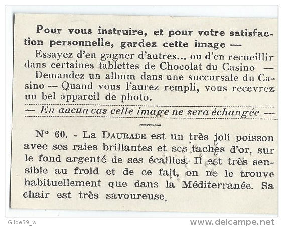 Image Chocolat CASINO - Série Poissons De Mer - N° 60 - La Daurade - Autres & Non Classés