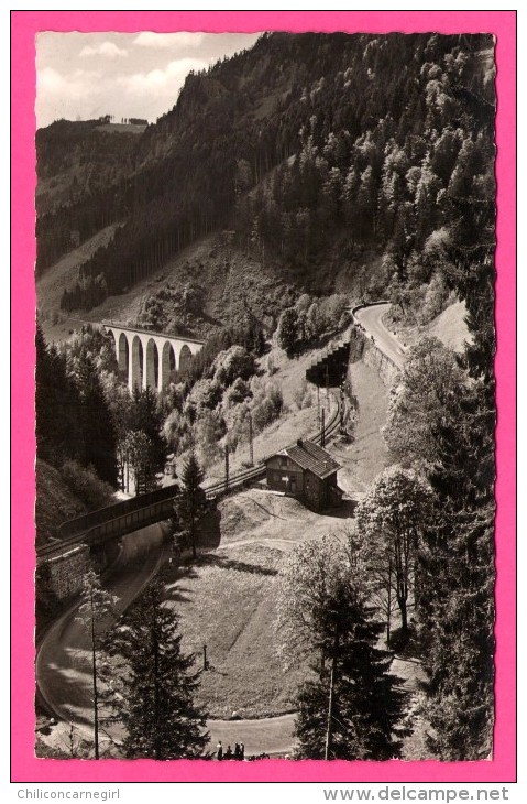 Höllental Mit Blick Auf Ravenna-Viadukt - A. MAUTHE - 1959 - Höllental