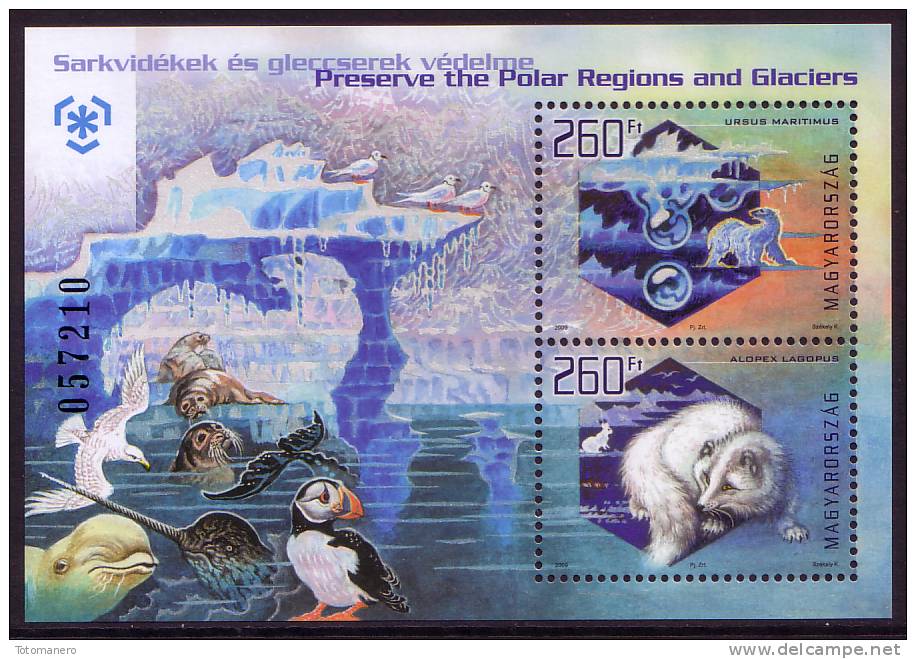 HUNGARY/Ungarn 2009, IPY - Preserve The Polar Regions And Glaciers "SILK PAPER" M/S** - Preservare Le Regioni Polari E Ghiacciai