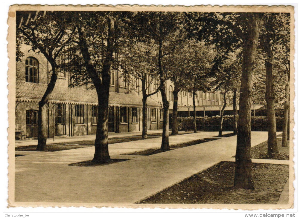 Eeklo, O.L.Vrouw Ten Doorn, Inrichting , Normaalschool, Speelplaats(pk24702) - Eeklo