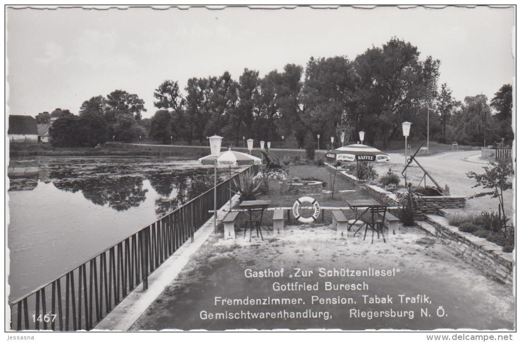 AK - RIEGERSBURG, NÖ - Gastgarten Vom Gasthof "Buresch" - Hollabrunn